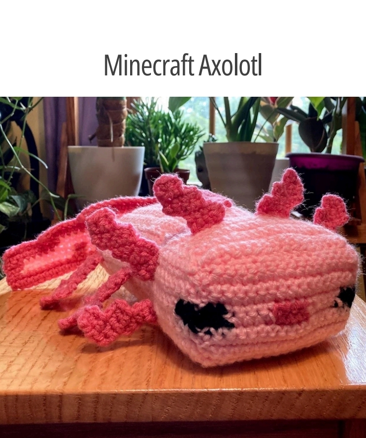 MINECRAFT AXOLOTL MOLDE
