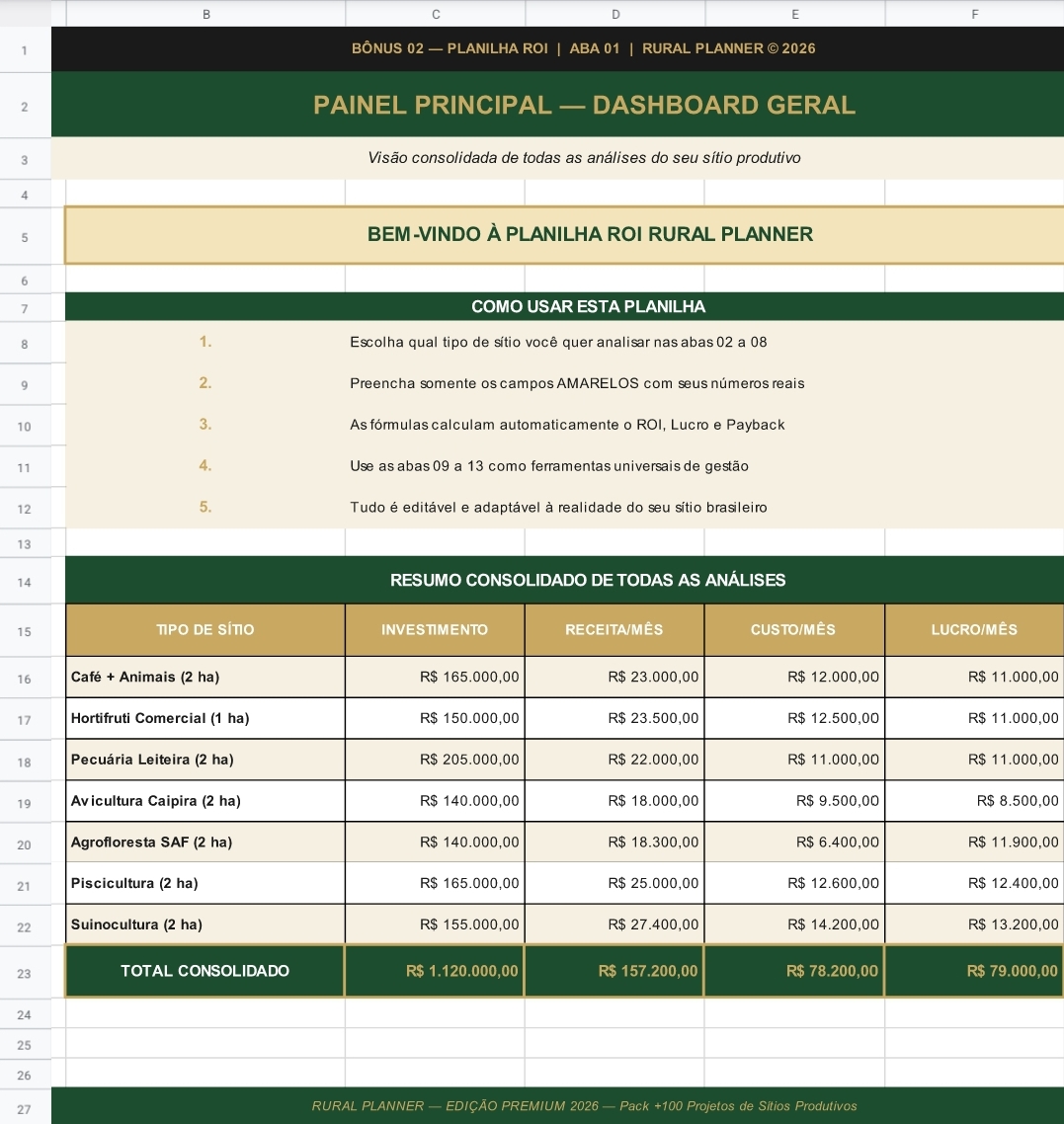 Planilha_ROI_Rural