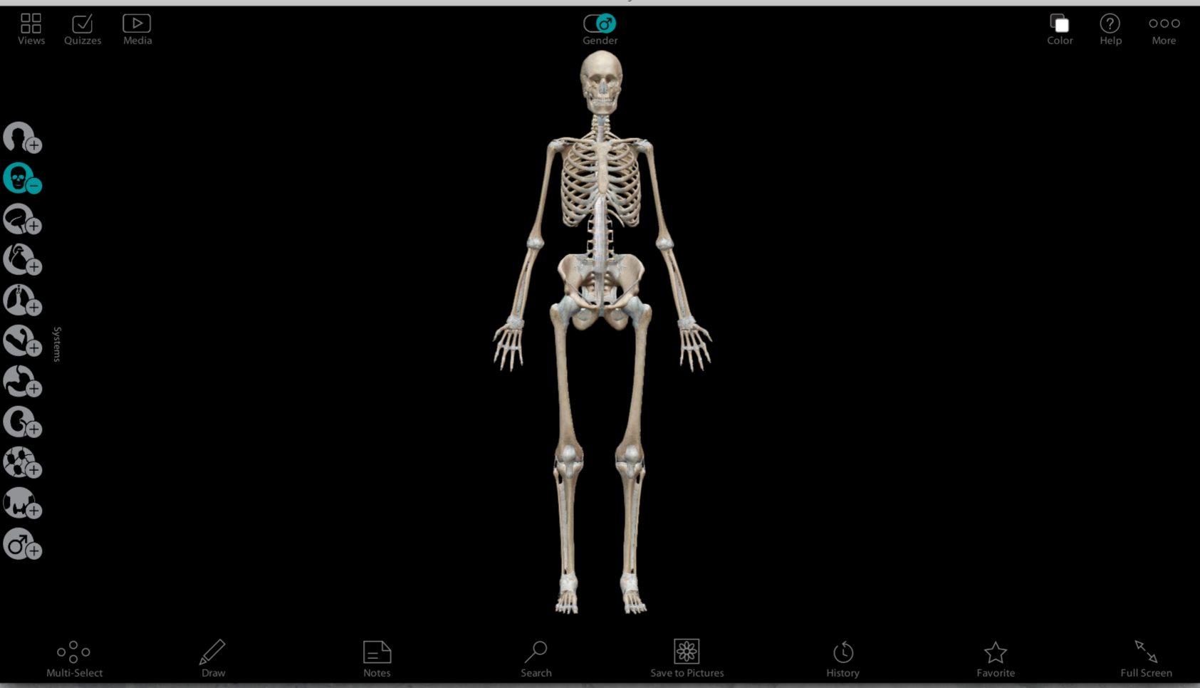 PROGRAMA - Anatomia Humana Atlas 3D