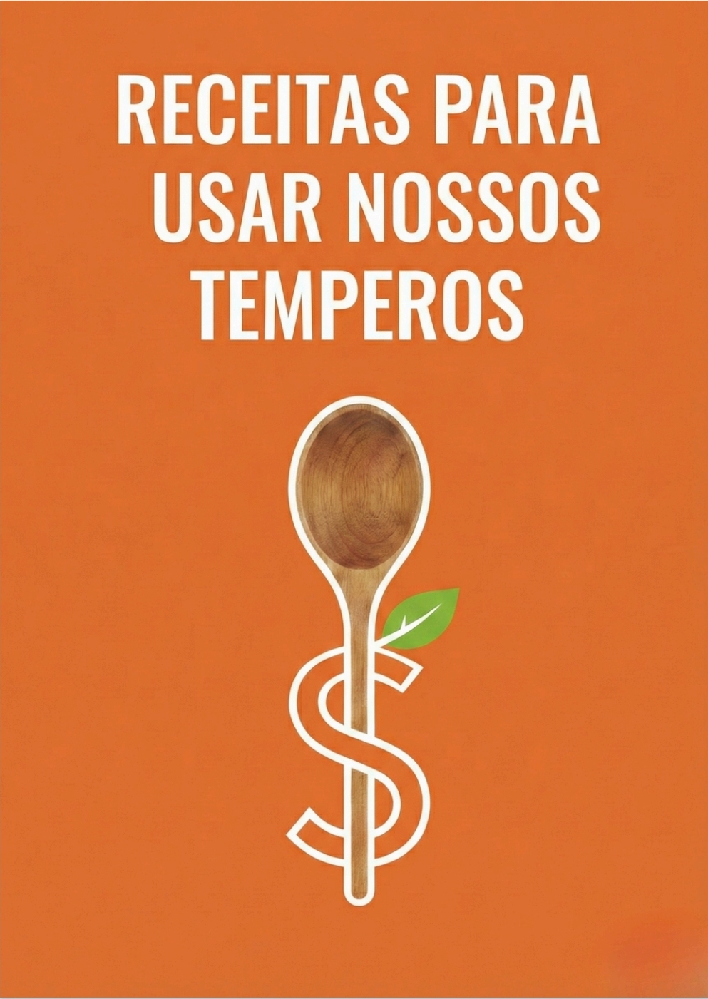 RECEITAS PARA USAR OS TEMPEROS CASEIROS
