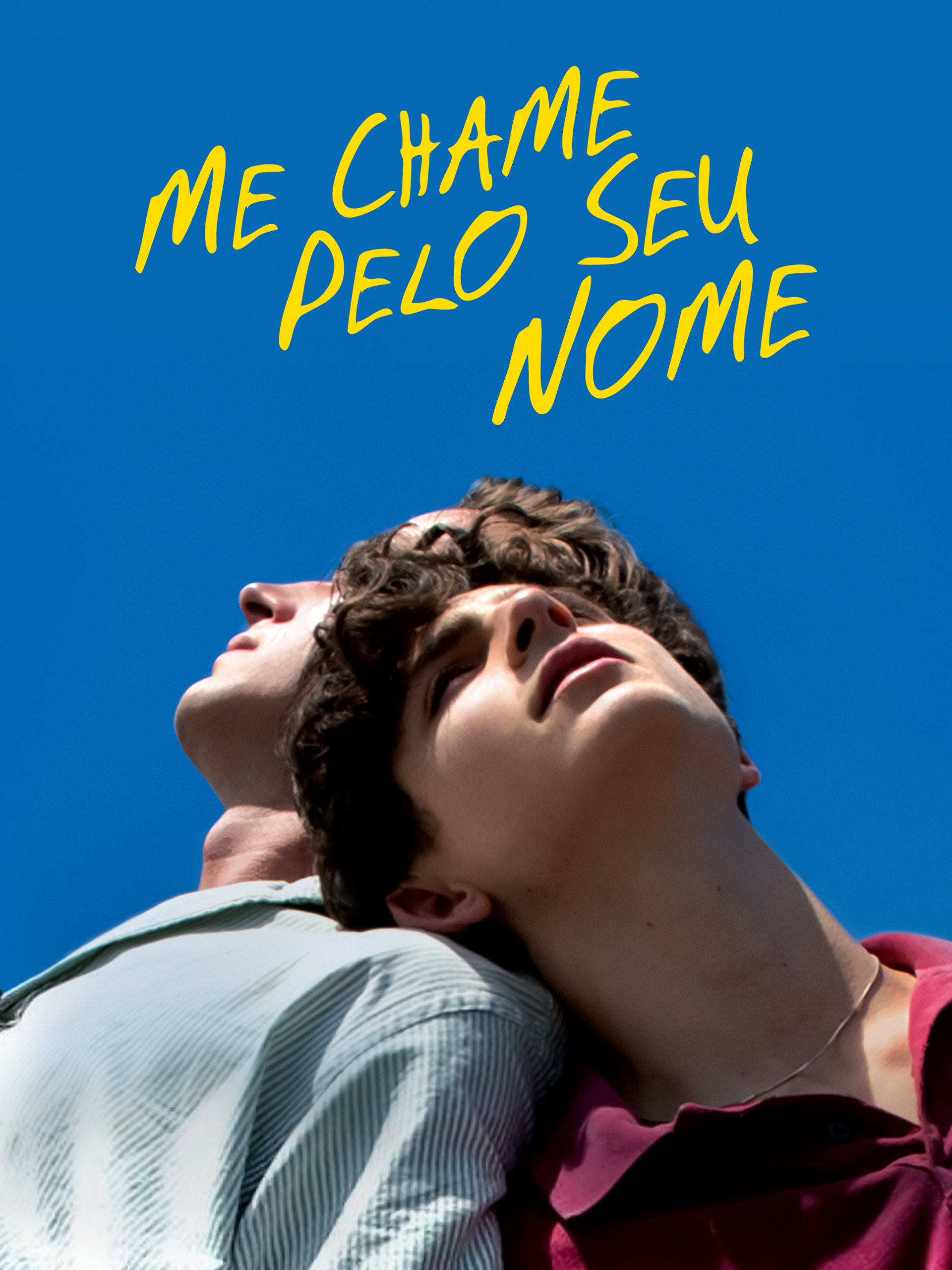 DVD - Me chame pelo seu nome